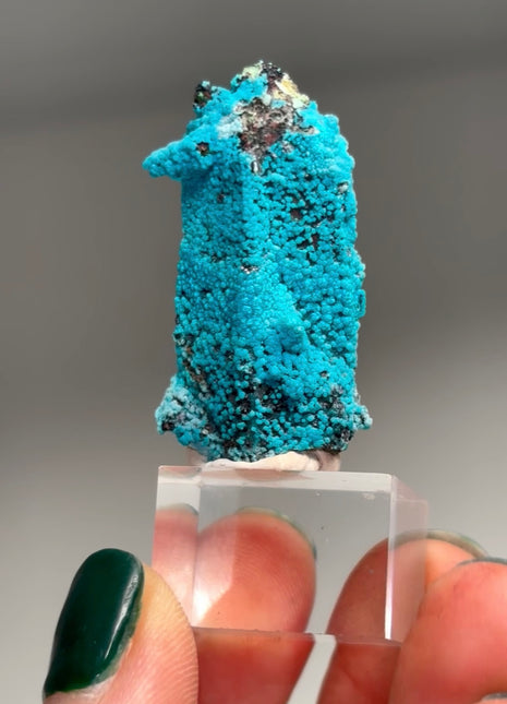 Quartz with Blue Chrysocolla