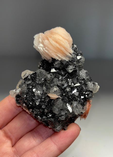 Pink Barite Flower with Cerussite and Metallic Galena