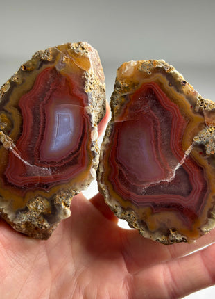 Black Sea Agate Pair