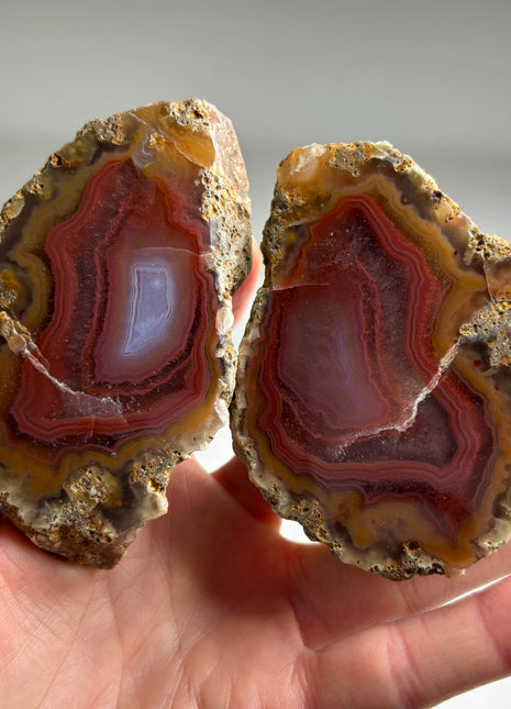 Black Sea Agate Pair