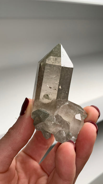 Smoky Quartz with Chlorite Sparkles - From Swiss Alps