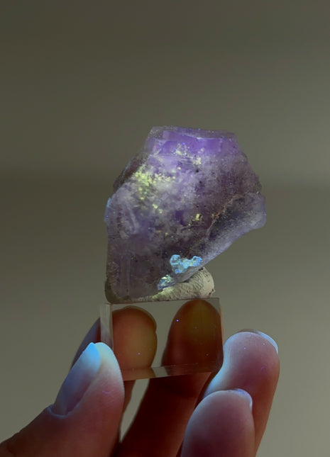 New Arrival ! Galaxy Fluorite