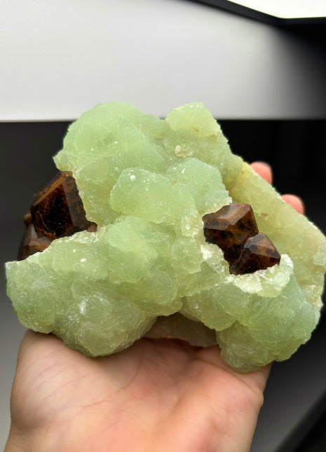 Andradite Garnet perching through Green Prehnite Collection  # 285