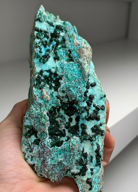 Very Lustrous Malachite with Druzy Blue Chrysocolla