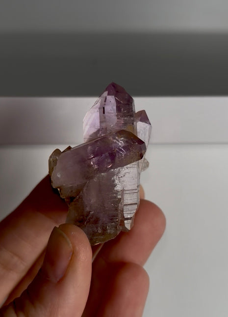 New Arrival ! Amethyst - From Veracruz, Mexico