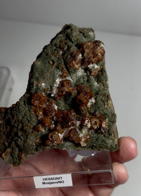 Hessonite Garnet with Green Diopside from Norway