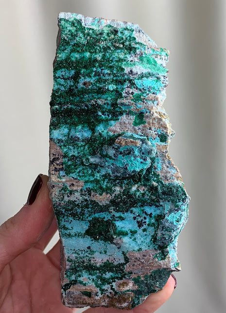 Druzy Chrysocolla with Green Malachite  - From DRC