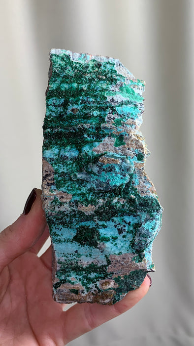 Druzy Chrysocolla with Green Malachite  - From DRC