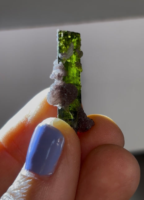 New ! Green Tourmaline with Lepidolite