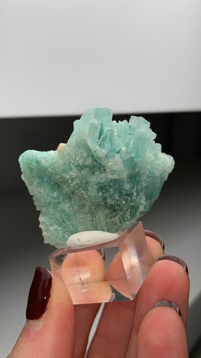 Blue Tourmaline Crystals Cluster - 115 Carats