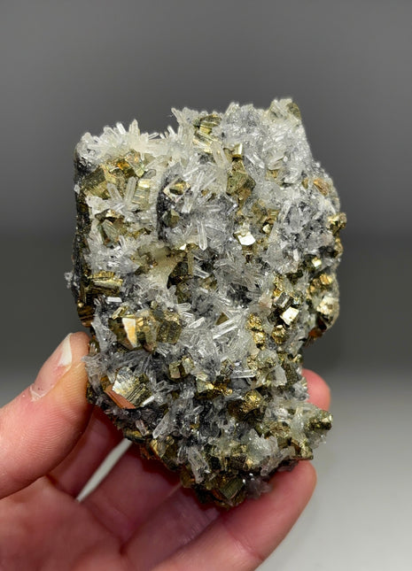 High Grade Pyrite with Quartz