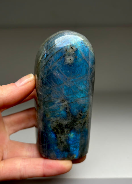 Rich Blue Labradorite