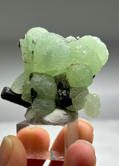 New ! Green Prehnite with Epidote - From Mali