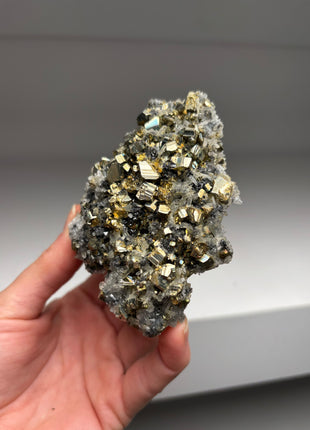 Pyrite with Quartz DW029