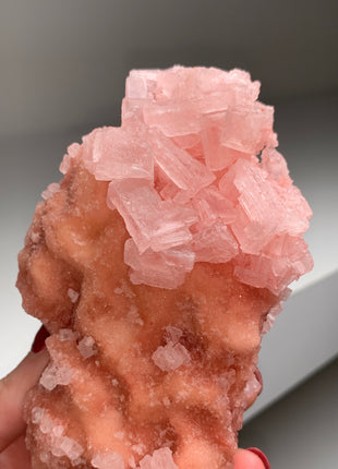 High Grade Pink Halite from Searles Lake, California