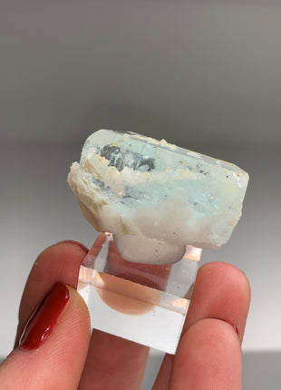 DT Blue Aquamarine on Albite