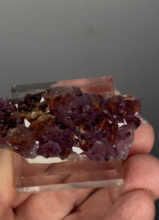 Red Amethyst Flower - From Thunder Bay, Canada
