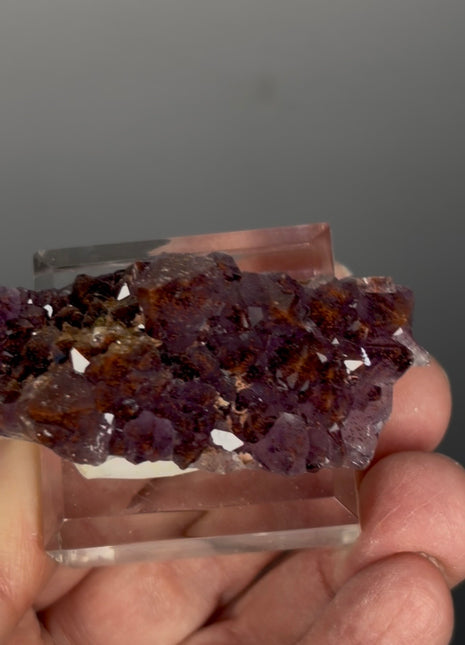 Red Amethyst Flower - From Thunder Bay, Canada