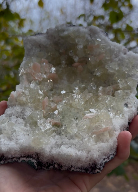 Gemmy Green Apophyllite with Pink Stilbite Geode # 681