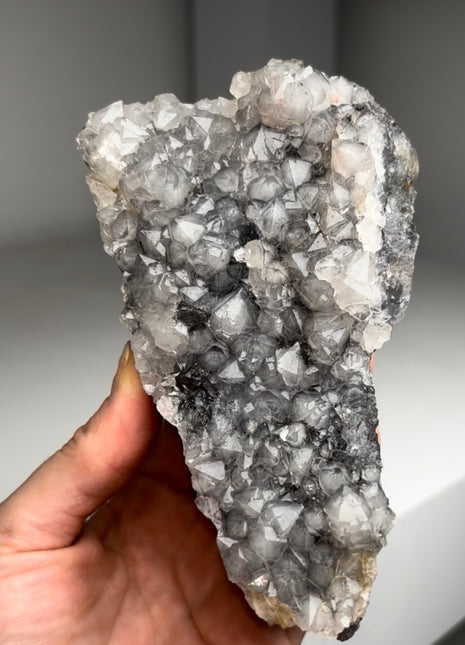 Rare ! Cumberland Habit Quartz on Blue Fluorite