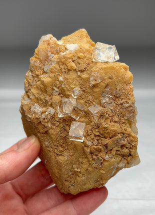 Water-clear Fluorite Collection # 523