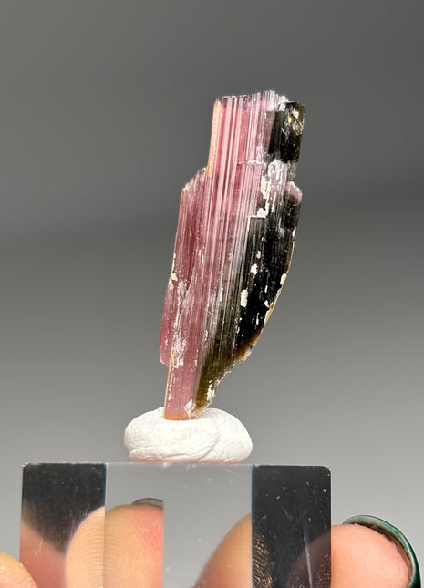 Pink Tourmaline
