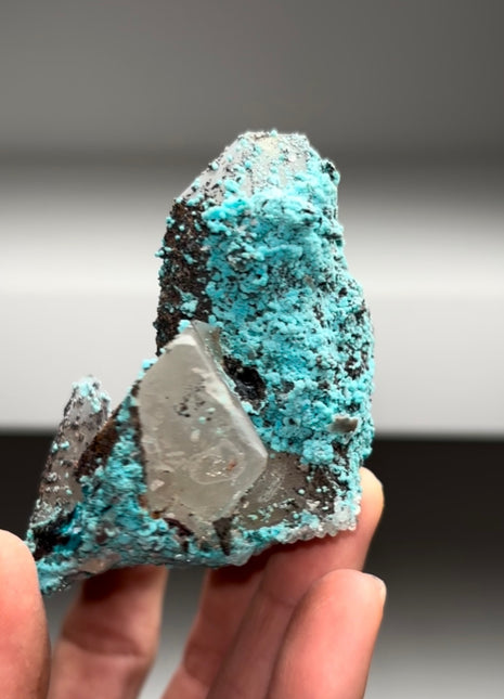 Blue Chrysocolla with Quartz