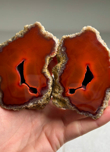 Amazing ! Black Sea Agate Pair*