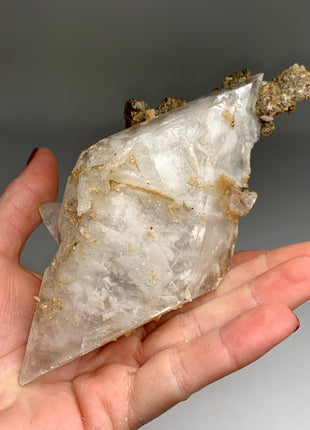 Selenite with Pyrite - From Niccioletta mine, Italy -  Collection # 070