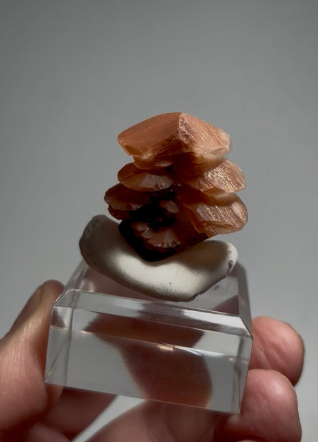 Red Pagoda Calcite ✨ Special Price 💥