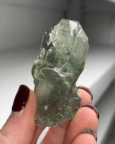 Scepter Quartz with Green Chlorite - From Himachal Pradesh, Himalayas