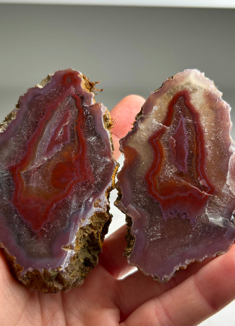 New ! Black Sea Agate Pair