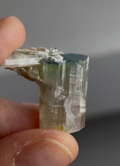 Blue Tip Tourmaline PM0672