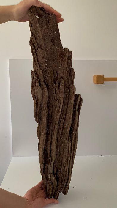 Stunning and Rare Permineralized Fossil Wood with Quartz - 12.3 kgs !! From Germany 🔥🔥🔥
