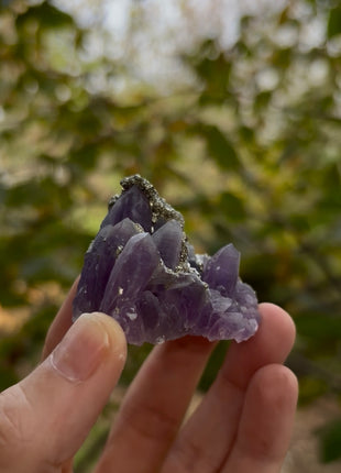 Wow ! Amethyst with Pyrite