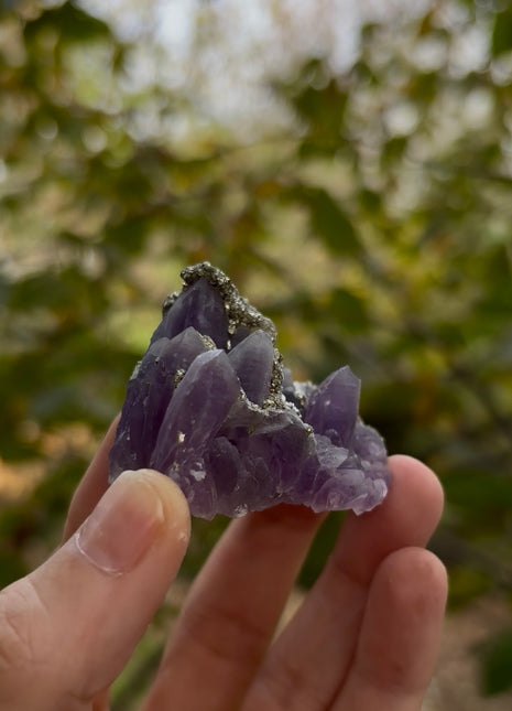 Wow ! Amethyst with Pyrite