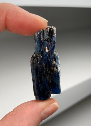 Rich Blue Kyanite with Mica - From Zambia - 24 Pieces