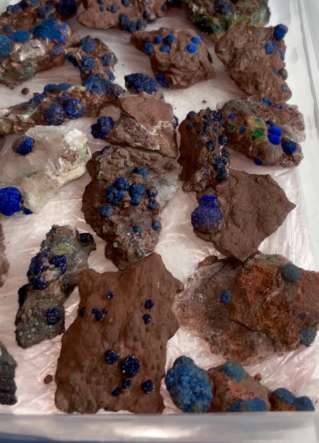 21 Piece Lot ! Rare Blueberry Azurite