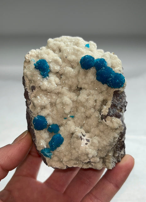 Electric Blue Cavansite on Stilbite Collection # 365