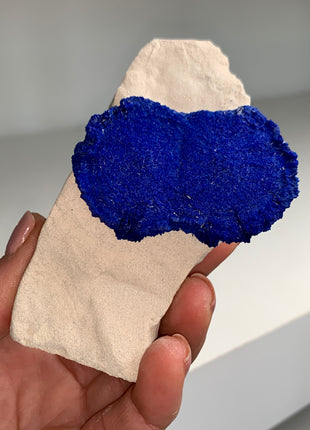 Azurite Sun on Kaolinite - From Australia