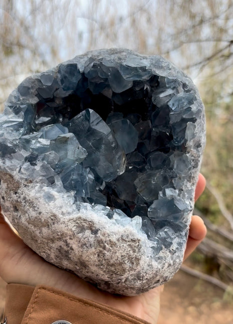 Sky Blue Celestite Geode 💎