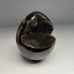 Collection image for: Septarian Dragon Egg
