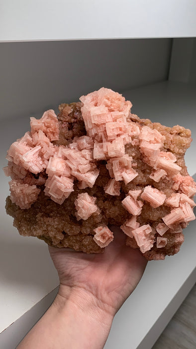 Pink Halite with Amazing Crystallization - from Owens Lake, California