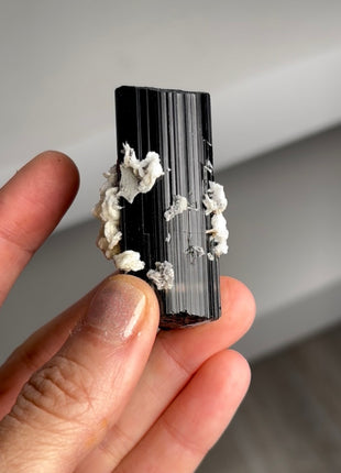 Black Tourmaline with Cleavelandite