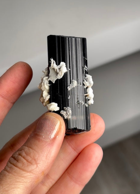 Black Tourmaline with Cleavelandite