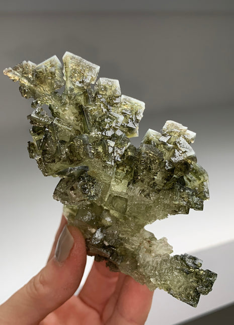 Unusual ! Skeletal Green Halite with Tolbachite