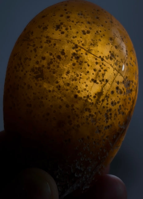 Rare Enhydro Agate PM1007