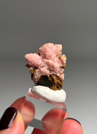 Pink Rhodocrosite - From Potosi mine