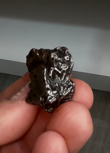 Campo del Cielo Meteorite