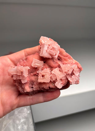 9 Piece Lot ! High Grade Pink Halite from Searles Lake, California